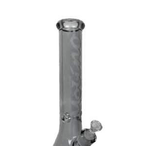 SILVER MEBUSA BONG